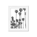 Picture of California Palms _GroupedProduct_Rectangle_Portrait_Photography _GroupedProduct_Rectangle_Portrait_Framed_Matted_