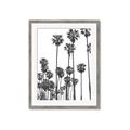 Picture of California Palms _GroupedProduct_Rectangle_Portrait_Photography _GroupedProduct_Rectangle_Portrait_Framed_Matted_