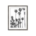 Picture of California Palms _GroupedProduct_Rectangle_Portrait_Photography _GroupedProduct_Rectangle_Portrait_Framed_Matted_
