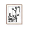 Picture of California Palms _GroupedProduct_Rectangle_Portrait_Photography _GroupedProduct_Rectangle_Portrait_Framed_Matted_