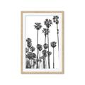 Picture of California Palms _GroupedProduct_Rectangle_Portrait_Photography _GroupedProduct_Rectangle_Portrait_Framed_Matted_