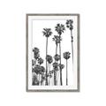 Picture of California Palms _GroupedProduct_Rectangle_Portrait_Photography _GroupedProduct_Rectangle_Portrait_Framed_Matted_