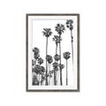 Picture of California Palms _GroupedProduct_Rectangle_Portrait_Photography _GroupedProduct_Rectangle_Portrait_Framed_Matted_