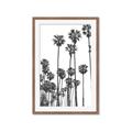 Picture of California Palms _GroupedProduct_Rectangle_Portrait_Photography _GroupedProduct_Rectangle_Portrait_Framed_Matted_