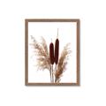 Picture of Cattails  _GroupedProduct_Rectangle_Portrait_Photography _GroupedProduct_Rectangle_Portrait_Framed_Matted_