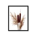 Picture of Cattails  _GroupedProduct_Rectangle_Portrait_Photography _GroupedProduct_Rectangle_Portrait_Framed_Matted_