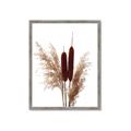 Picture of Cattails  _GroupedProduct_Rectangle_Portrait_Photography _GroupedProduct_Rectangle_Portrait_Framed_Matted_