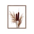 Picture of Cattails  _GroupedProduct_Rectangle_Portrait_Photography _GroupedProduct_Rectangle_Portrait_Framed_Matted_