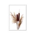 Picture of Cattails  _GroupedProduct_Rectangle_Portrait_Photography _GroupedProduct_Rectangle_Portrait_Framed_Matted_