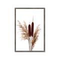 Picture of Cattails  _GroupedProduct_Rectangle_Portrait_Photography _GroupedProduct_Rectangle_Portrait_Framed_Matted_