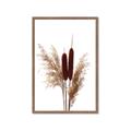 Picture of Cattails  _GroupedProduct_Rectangle_Portrait_Photography _GroupedProduct_Rectangle_Portrait_Framed_Matted_