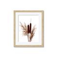 Picture of Cattails  _GroupedProduct_Rectangle_Portrait_Photography _GroupedProduct_Rectangle_Portrait_Framed_Matted_