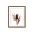 Picture of Cattails  _GroupedProduct_Rectangle_Portrait_Photography _GroupedProduct_Rectangle_Portrait_Framed_Matted_