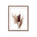 Picture of Cattails  _GroupedProduct_Rectangle_Portrait_Photography _GroupedProduct_Rectangle_Portrait_Framed_Matted_