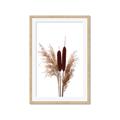 Picture of Cattails  _GroupedProduct_Rectangle_Portrait_Photography _GroupedProduct_Rectangle_Portrait_Framed_Matted_