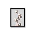 Picture of Cotton _GroupedProduct_Rectangle_Portrait_Photography _GroupedProduct_Rectangle_Portrait_Framed_Matted_