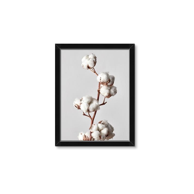 Picture of Cotton _GroupedProduct_Rectangle_Portrait_Photography _GroupedProduct_Rectangle_Portrait_Framed_Matted_