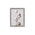 Picture of Cotton _GroupedProduct_Rectangle_Portrait_Photography _GroupedProduct_Rectangle_Portrait_Framed_Matted_