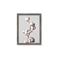 Picture of Cotton _GroupedProduct_Rectangle_Portrait_Photography _GroupedProduct_Rectangle_Portrait_Framed_Matted_