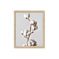 Picture of Cotton _GroupedProduct_Rectangle_Portrait_Photography _GroupedProduct_Rectangle_Portrait_Framed_Matted_