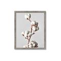 Picture of Cotton _GroupedProduct_Rectangle_Portrait_Photography _GroupedProduct_Rectangle_Portrait_Framed_Matted_