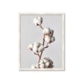 Picture of Cotton _GroupedProduct_Rectangle_Portrait_Photography _GroupedProduct_Rectangle_Portrait_Framed_Matted_
