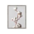 Picture of Cotton _GroupedProduct_Rectangle_Portrait_Photography _GroupedProduct_Rectangle_Portrait_Framed_Matted_