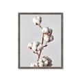 Picture of Cotton _GroupedProduct_Rectangle_Portrait_Photography _GroupedProduct_Rectangle_Portrait_Framed_Matted_