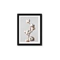 Picture of Cotton _GroupedProduct_Rectangle_Portrait_Photography _GroupedProduct_Rectangle_Portrait_Framed_Matted_