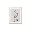 Picture of Cotton _GroupedProduct_Rectangle_Portrait_Photography _GroupedProduct_Rectangle_Portrait_Framed_Matted_