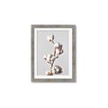 Picture of Cotton _GroupedProduct_Rectangle_Portrait_Photography _GroupedProduct_Rectangle_Portrait_Framed_Matted_