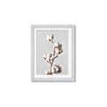 Picture of Cotton _GroupedProduct_Rectangle_Portrait_Photography _GroupedProduct_Rectangle_Portrait_Framed_Matted_