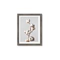 Picture of Cotton _GroupedProduct_Rectangle_Portrait_Photography _GroupedProduct_Rectangle_Portrait_Framed_Matted_