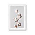 Picture of Cotton _GroupedProduct_Rectangle_Portrait_Photography _GroupedProduct_Rectangle_Portrait_Framed_Matted_