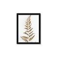 Picture of Dried Fern Leaf  _GroupedProduct_Rectangle_Portrait_Photography _GroupedProduct_Rectangle_Portrait_Framed_Matted_