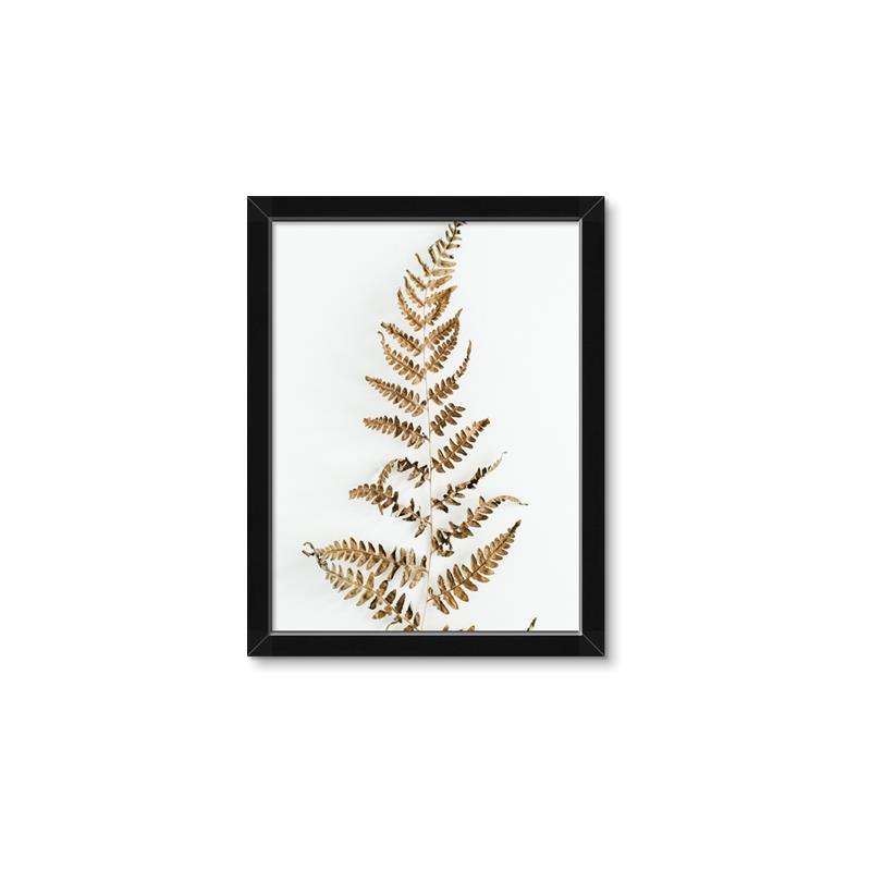 Picture of Dried Fern Leaf  _GroupedProduct_Rectangle_Portrait_Photography _GroupedProduct_Rectangle_Portrait_Framed_Matted_