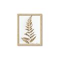 Picture of Dried Fern Leaf  _GroupedProduct_Rectangle_Portrait_Photography _GroupedProduct_Rectangle_Portrait_Framed_Matted_