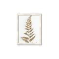Picture of Dried Fern Leaf  _GroupedProduct_Rectangle_Portrait_Photography _GroupedProduct_Rectangle_Portrait_Framed_Matted_