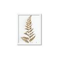 Picture of Dried Fern Leaf  _GroupedProduct_Rectangle_Portrait_Photography _GroupedProduct_Rectangle_Portrait_Framed_Matted_