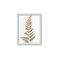 Picture of Dried Fern Leaf  _GroupedProduct_Rectangle_Portrait_Photography _GroupedProduct_Rectangle_Portrait_Framed_Matted_