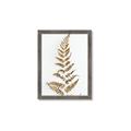 Picture of Dried Fern Leaf  _GroupedProduct_Rectangle_Portrait_Photography _GroupedProduct_Rectangle_Portrait_Framed_Matted_
