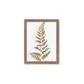 Picture of Dried Fern Leaf  _GroupedProduct_Rectangle_Portrait_Photography _GroupedProduct_Rectangle_Portrait_Framed_Matted_