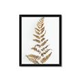 Picture of Dried Fern Leaf  _GroupedProduct_Rectangle_Portrait_Photography _GroupedProduct_Rectangle_Portrait_Framed_Matted_