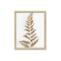 Picture of Dried Fern Leaf  _GroupedProduct_Rectangle_Portrait_Photography _GroupedProduct_Rectangle_Portrait_Framed_Matted_