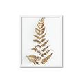 Picture of Dried Fern Leaf  _GroupedProduct_Rectangle_Portrait_Photography _GroupedProduct_Rectangle_Portrait_Framed_Matted_
