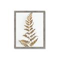 Picture of Dried Fern Leaf  _GroupedProduct_Rectangle_Portrait_Photography _GroupedProduct_Rectangle_Portrait_Framed_Matted_