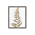 Picture of Dried Fern Leaf  _GroupedProduct_Rectangle_Portrait_Photography _GroupedProduct_Rectangle_Portrait_Framed_Matted_