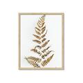 Picture of Dried Fern Leaf  _GroupedProduct_Rectangle_Portrait_Photography _GroupedProduct_Rectangle_Portrait_Framed_Matted_