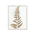 Picture of Dried Fern Leaf  _GroupedProduct_Rectangle_Portrait_Photography _GroupedProduct_Rectangle_Portrait_Framed_Matted_
