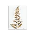 Picture of Dried Fern Leaf  _GroupedProduct_Rectangle_Portrait_Photography _GroupedProduct_Rectangle_Portrait_Framed_Matted_